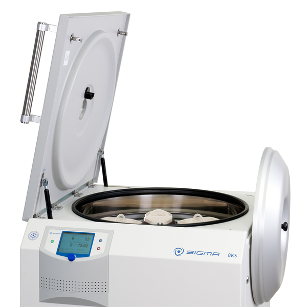 請(qǐng)?zhí)顚憳?biāo)題