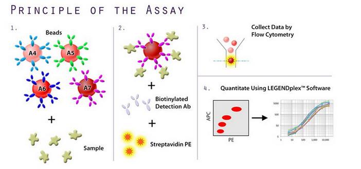 LEGENDplex 1.jpg LEGENDplex 1.jpg