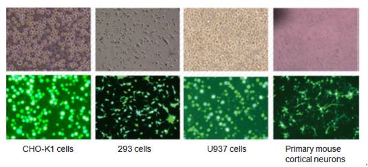 圖片10.jpg 圖片10.jpg