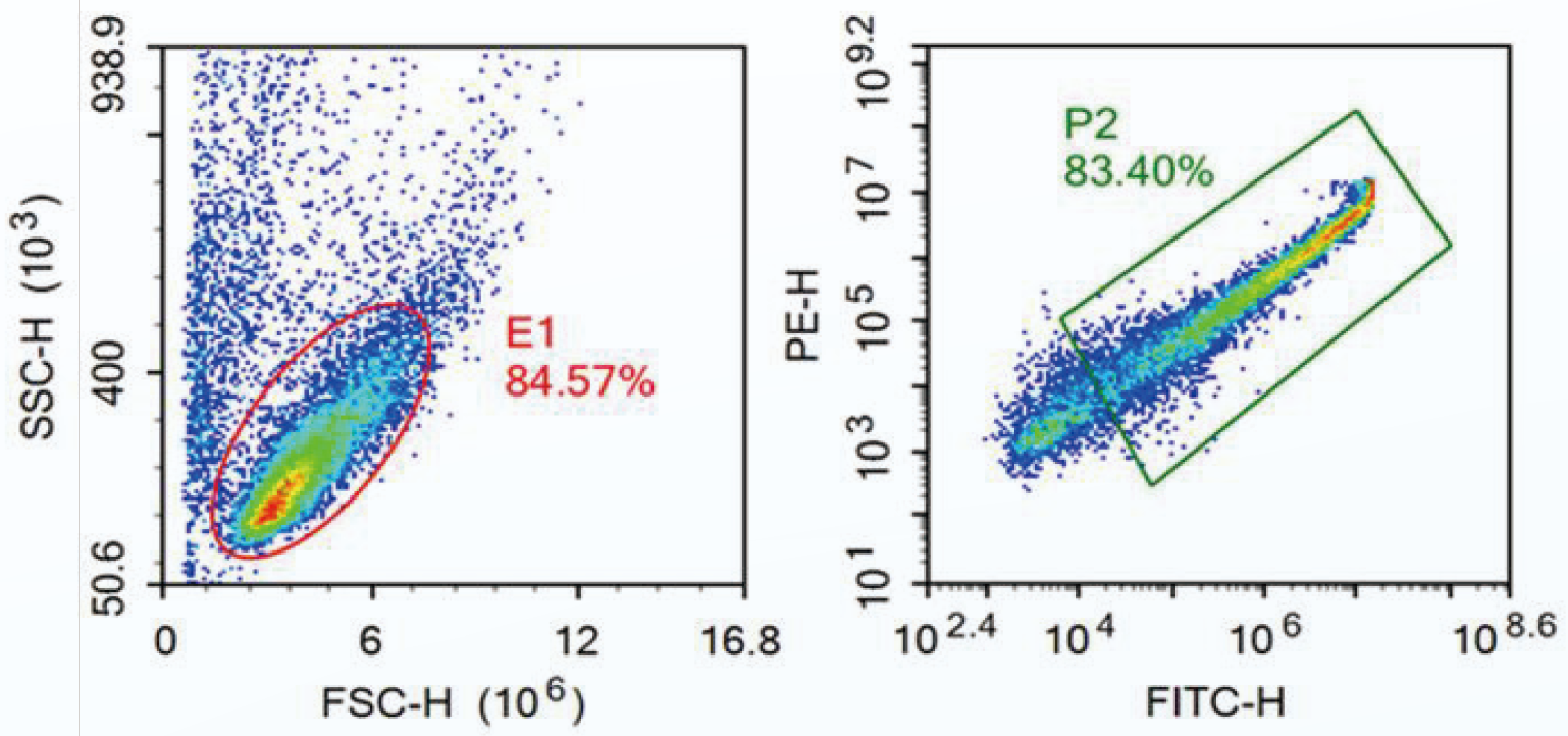 抗體2.png 抗體2.png